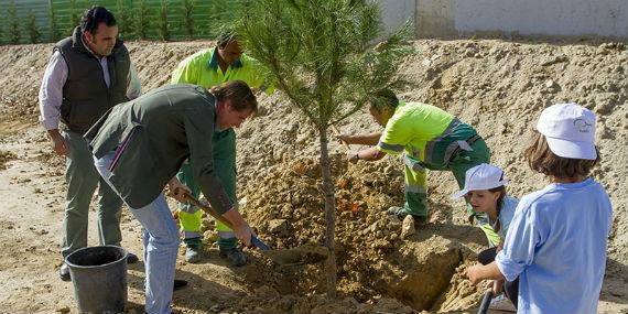 Boadilla reforesta la zona de Manuel de Falla para recuperar el entorno