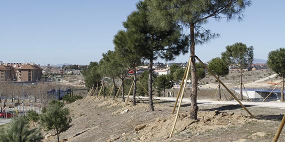 El Ayuntamiento de Boadilla niega que la zona de Isabel II se encuentre en mal estado