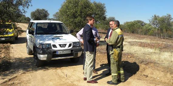 Reanudadas las labores de limpieza forestal en Boadilla