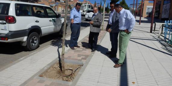 Nuevos alcorques en la avenida Isabel de Farnesio