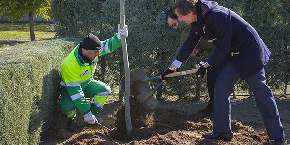 Boadilla contará con 400 nuevos árboles y 4.300 arbustos