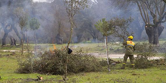 Boadilla y la prevención de incendios forestales