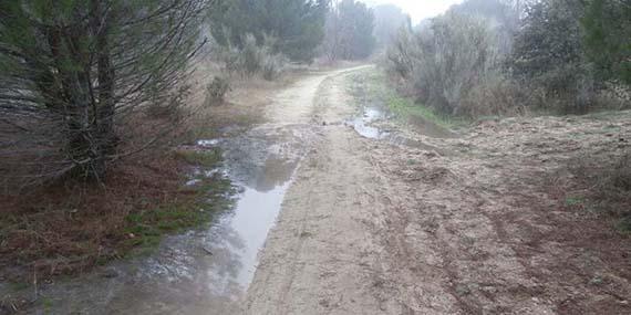 APB denuncia "vertidos de aguas fecales" en Montealina