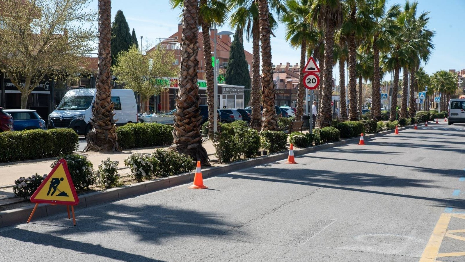 Boadilla trabaja en la plantación de 4.000 nuevas unidades de especies arbustivas