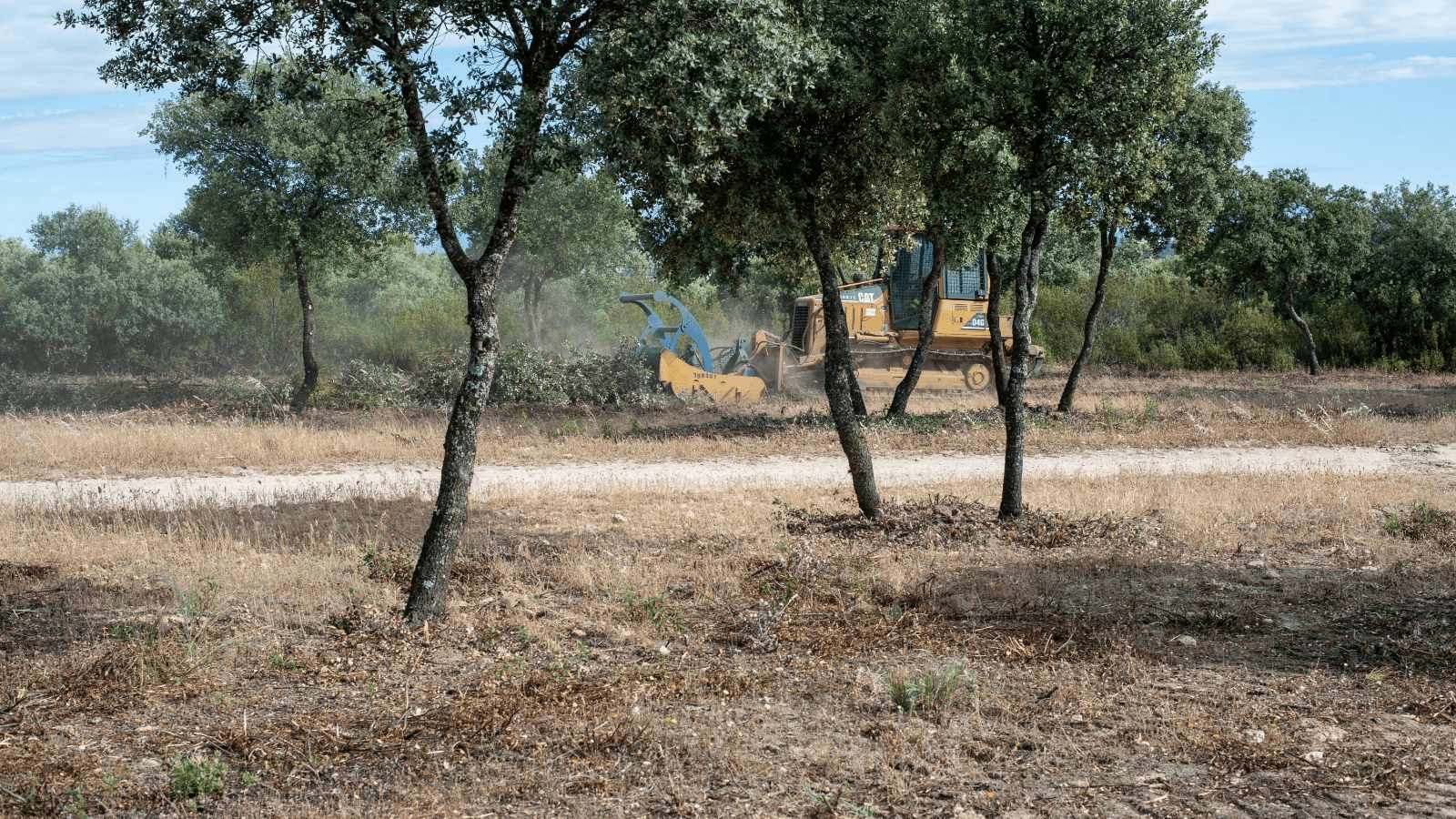 Trabajos de limpieza y desbroce en Boadilla para prevenir incendios forestales