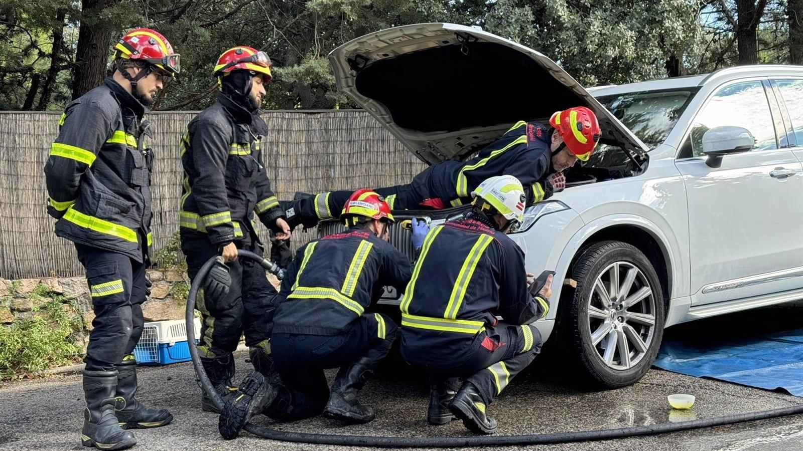 Rescatan a una gata atrapada en el motor de un coche en BoadillaRescatan a una gata atrapada en el motor de un coche en Boadilla