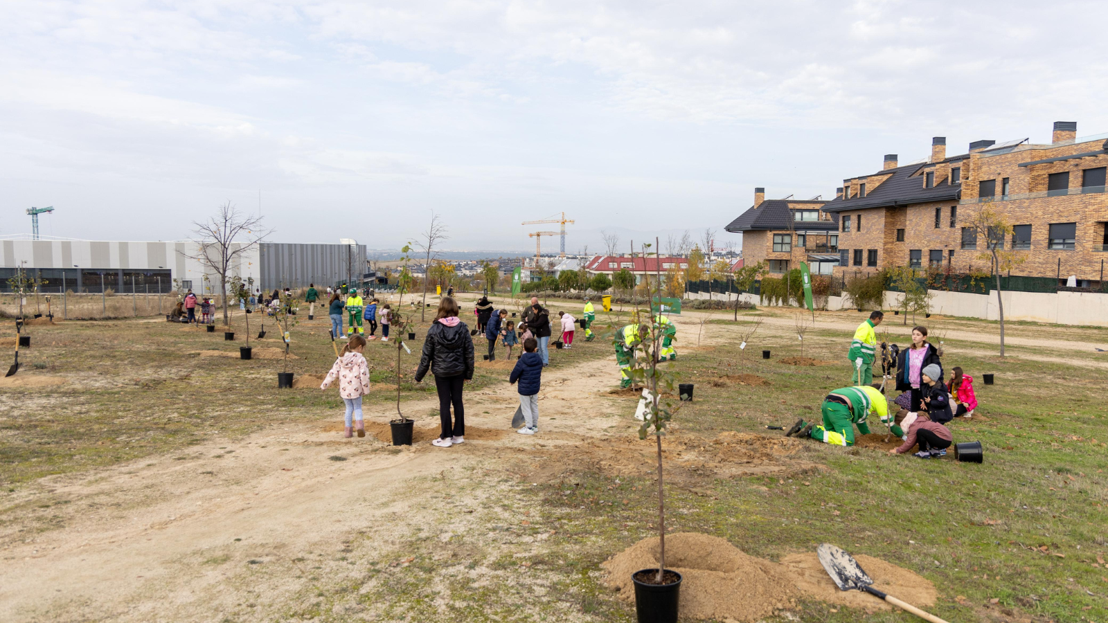 Alumnos del CEIP Federico García Lorca participan en una plantación en Valenoso