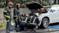 rescatan-a-una-gata-atrapada-en-el-motor-de-un-coche-en-boadillarescatan-a-una-gata-atrapada-en-el-motor-de-un-coche-en-boadilla