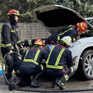 Rescatan a una gata atrapada en el motor de un coche en BoadillaRescatan a una gata atrapada en el motor de un coche en Boadilla