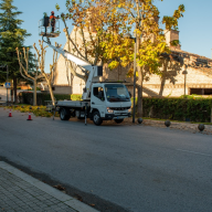 Boadilla del Monte inicia la campaña de poda para otoño e invierno