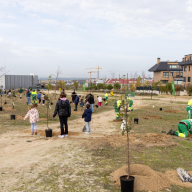 Alumnos del CEIP Federico García Lorca participan en una plantación en Valenoso