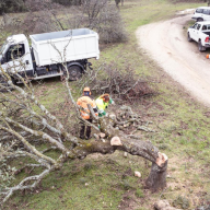 Boadilla intensifica la gestión forestal en su monte para reforzar la seguridad y la sostenibilidad del entorno natural